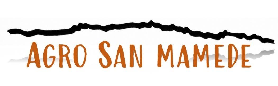 Logotipo Agro San  Mamede